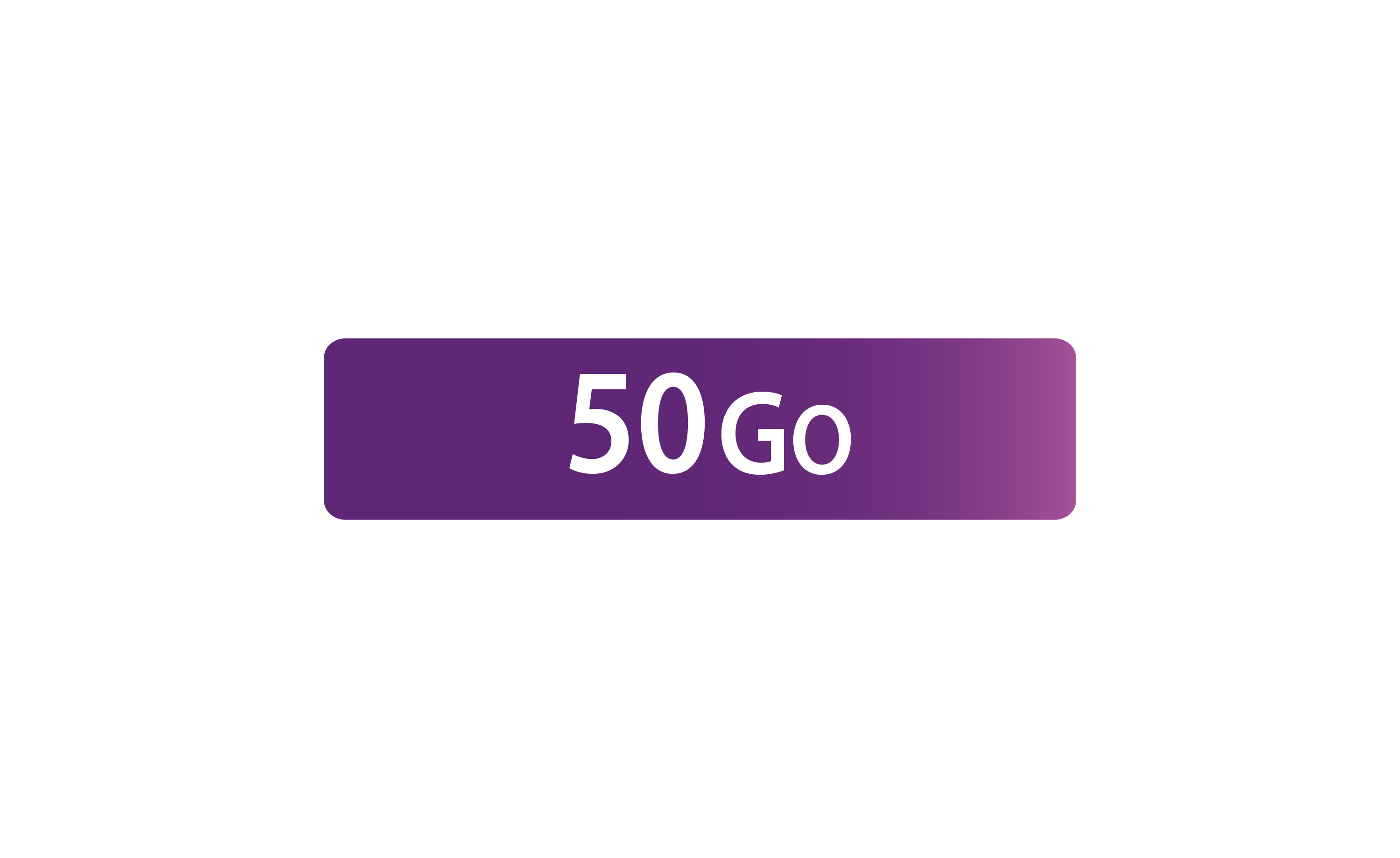 50GO internet